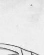 hamsterVice11x3.jpg